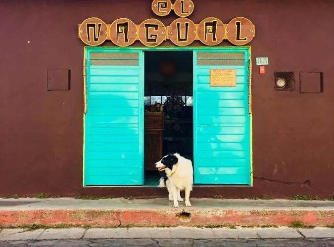 Hostel El Nagual San Cristóbal de Las Casas